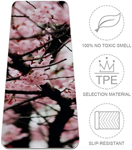 Siebzeh cherry Blossoms Pink Premium Thick Yoga Mat Eco Friendly Rubber Health & amp; fitnes Non Slip Mat