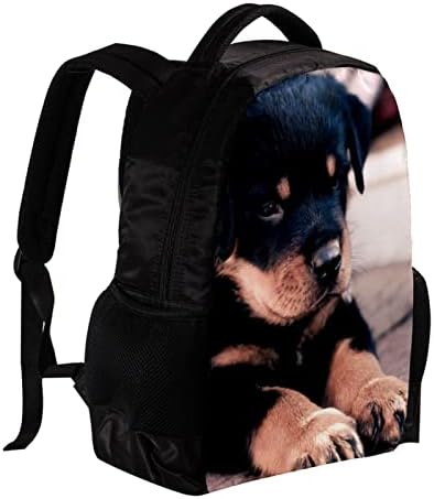 VBFOFBV lagani casual backpack za muškarce i žene, lijep životinjski pas rotvajler