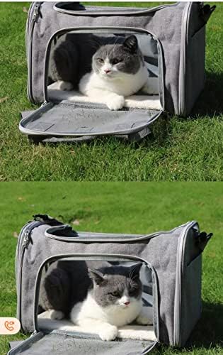 Oomp Collection avionske odobren mali luksuz štene kućne ljubimce Travel Carry torbe ruksak mačka pas pet