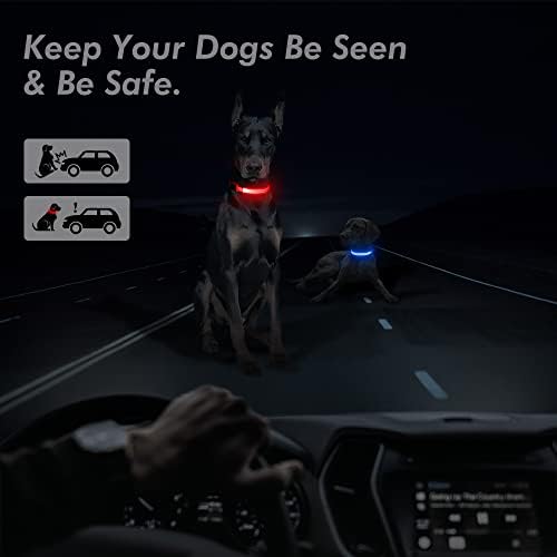 Illumifun svjetlo ovratnik za pse, USB punjivi sigurnosni ovratnik za pse užaren u mraku