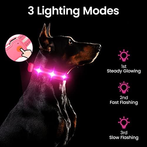 HZK Svijetli ovratnik za pse, LED oklopni ovratnik sa USB punjivim osvijetljenim svijetlim, pasa treptajući