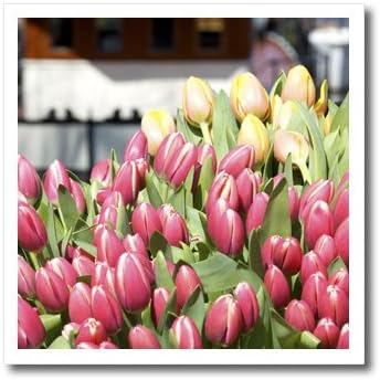 3Droza HT_82333_3 Holandija, Amsterdam, Tržište Tulip Cvijeće-Eu20 LEN0168-Lisa S. Engel Brecht-Iron na