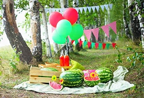 Aofoto 5x3ft na otvorenom putni piknik scena pozadina ljetne lubenice sok šuma kampiranje odmor proslava