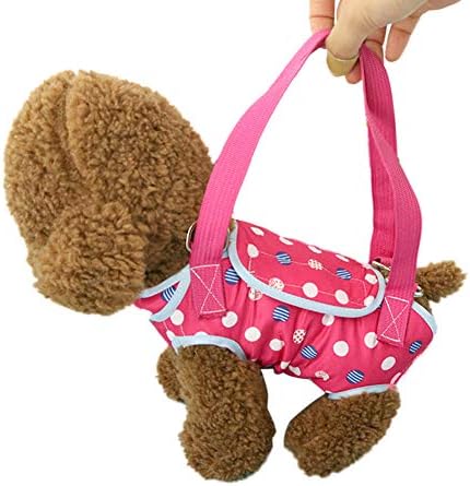 haixclvyE vanjski putni ruksak za pse za kućne ljubimce prozračna torba za ruke s nogama i ramenom za kućne